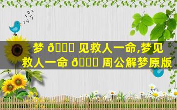 梦 💐 见救人一命,梦见救人一命 💐 周公解梦原版